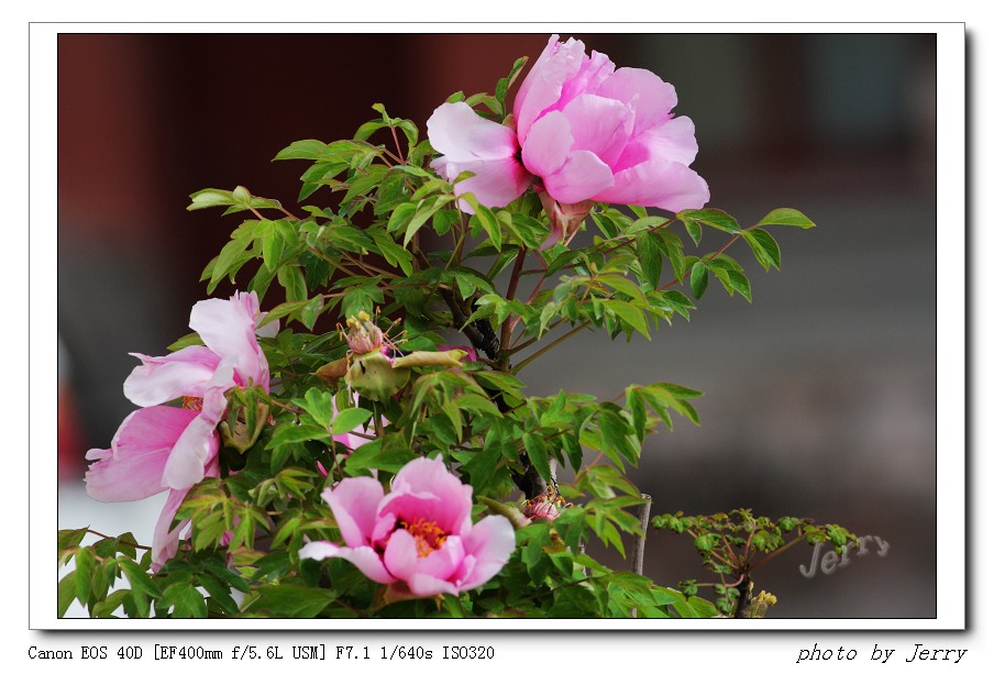 IMG_4593_nEO_IMG.jpg