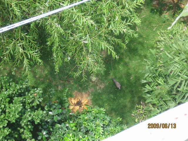 06.13 ̨ 006.jpg