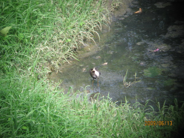 06.13 ̨ 081.jpg