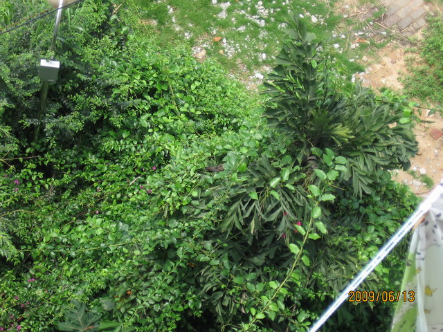 06.13 ̨ 013.jpg