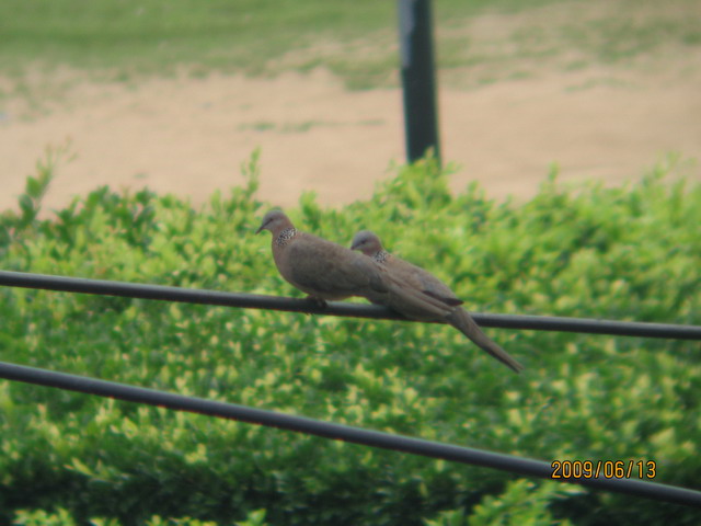 06.13 ̨ 061.jpg