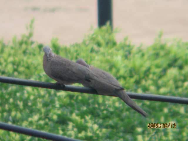 06.13 ̨ 064.jpg