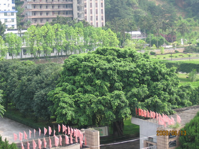 06.13 ̨ 075.jpg