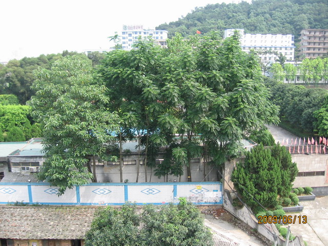06.13 ̨ 076.jpg