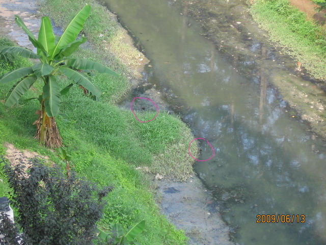 06.13 ̨ 092.jpg