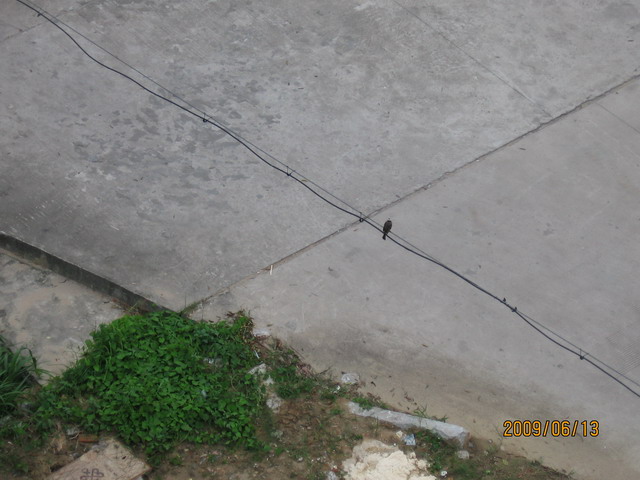 06.13 ̨ 093.jpg