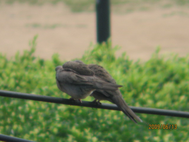 06.13 ̨ 066.jpg