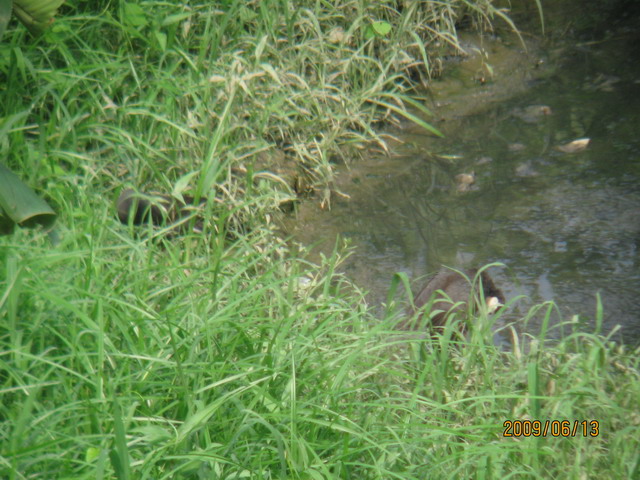 06.13 ̨ 086.jpg