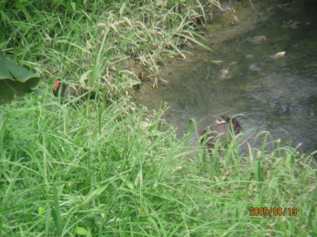 06.13 ̨ 085.jpg
