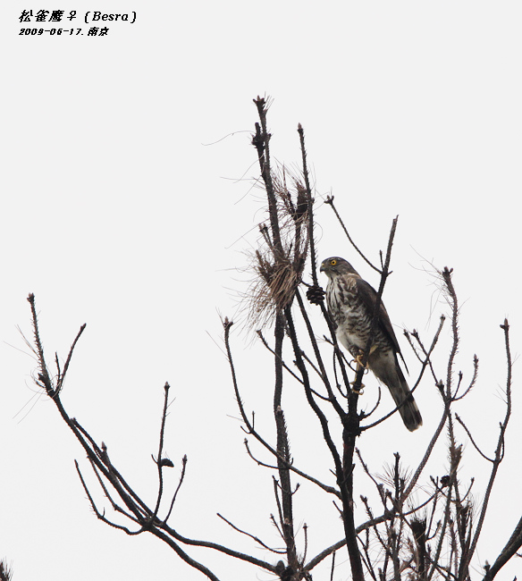 照片 039.jpg