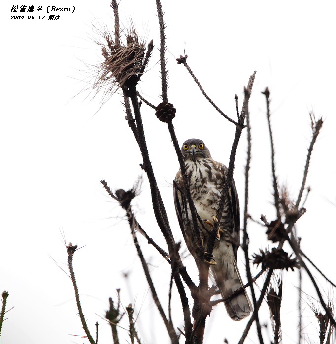 照片 079.jpg