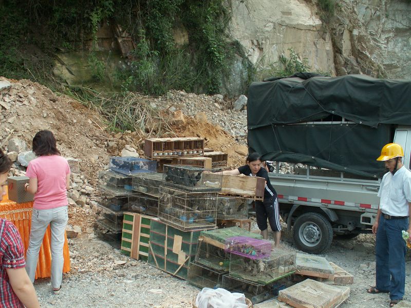 PICT6836.JPG