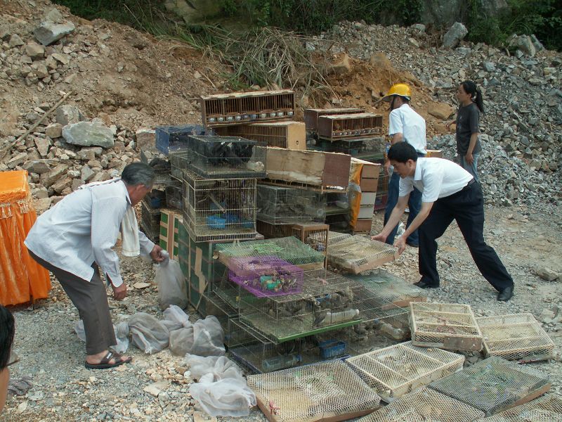 PICT6850.JPG