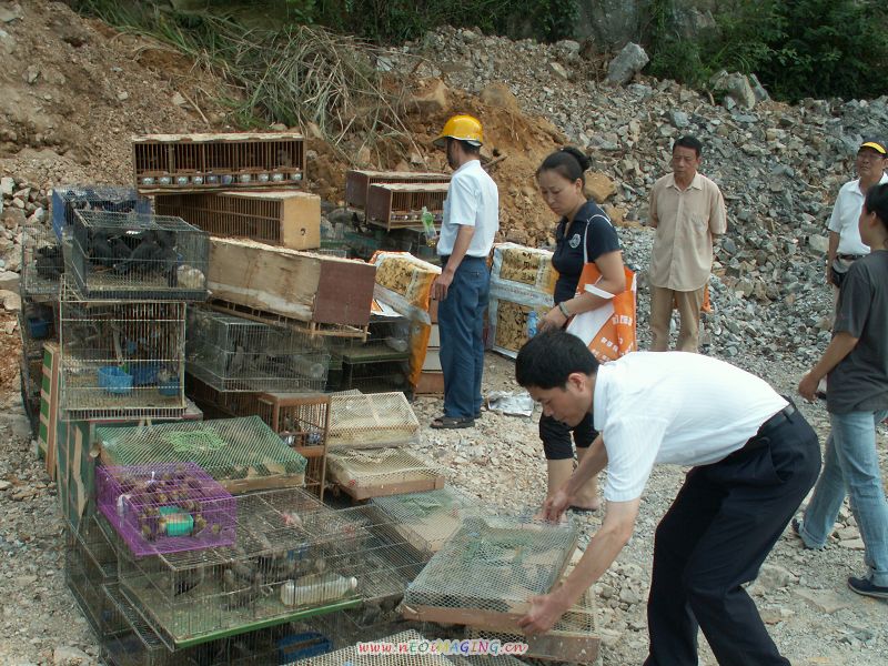 PICT6847.JPG