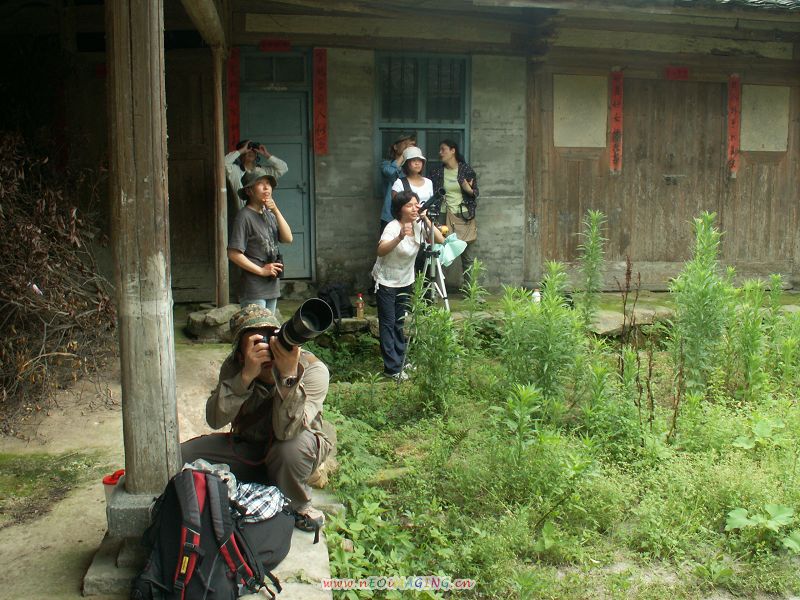 PICT6885.JPG