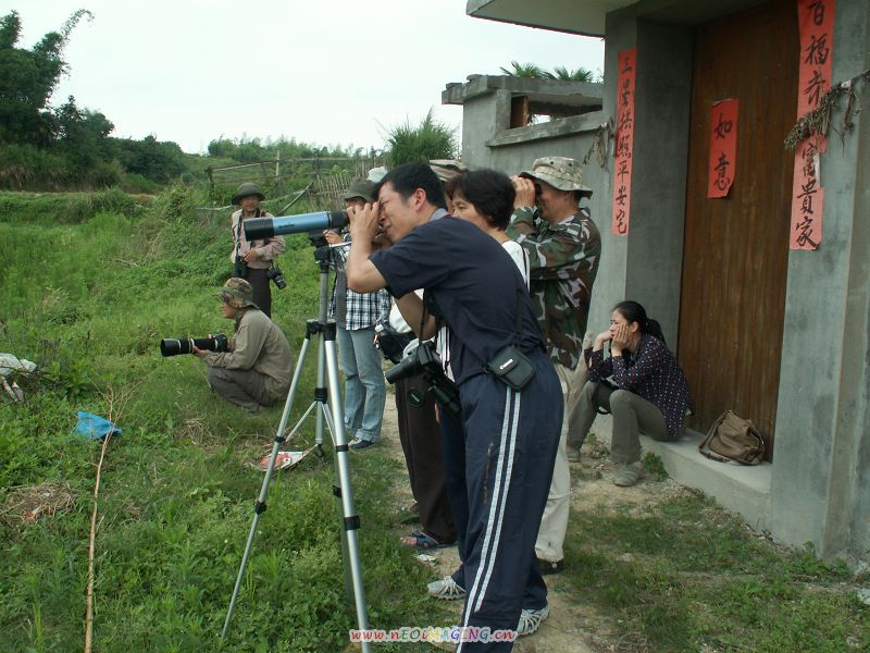 PICT6904.JPG