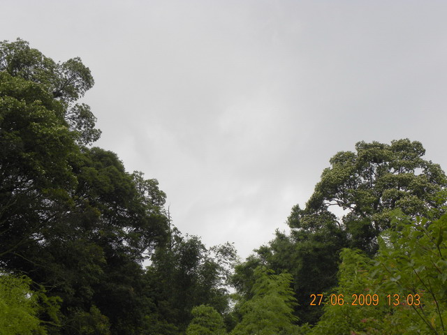 06.27. 55a.jpg