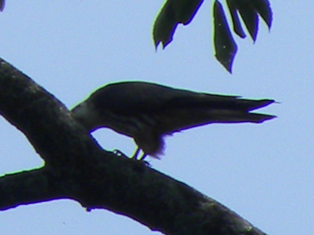 07.01. 09.22ba.jpg