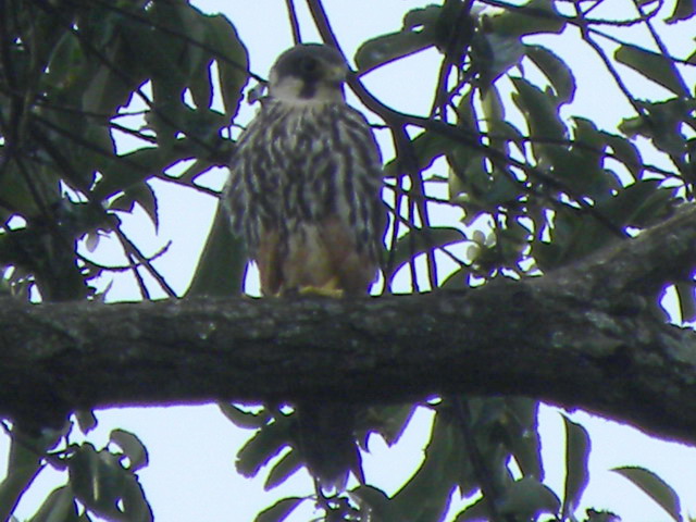 07.01. 09.07a.jpg