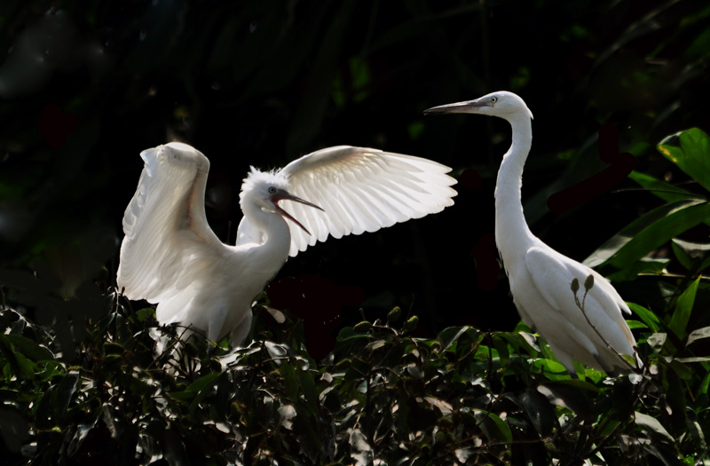 DSC_0685ĸӷ.jpg