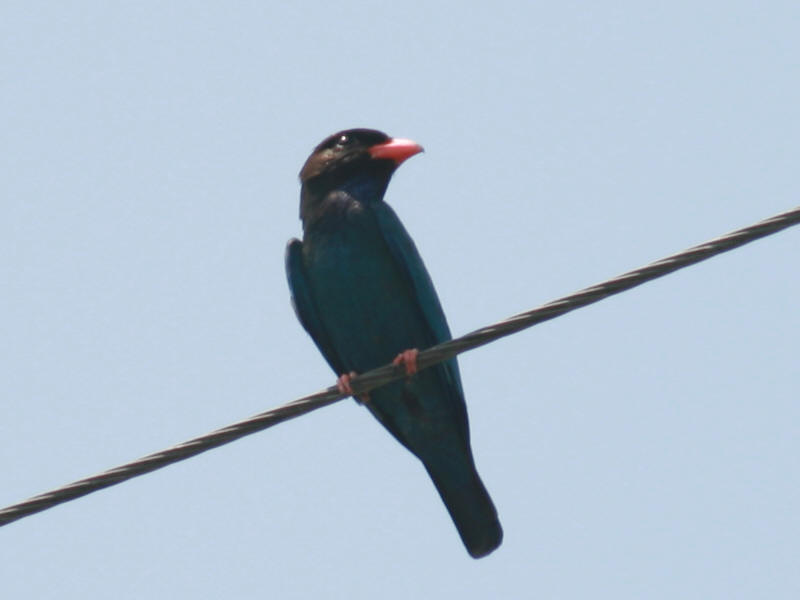 dIMG_0276.jpg