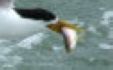 20090720_b0f104dbd9081d1c649fXVSOleOddIcG.jpg