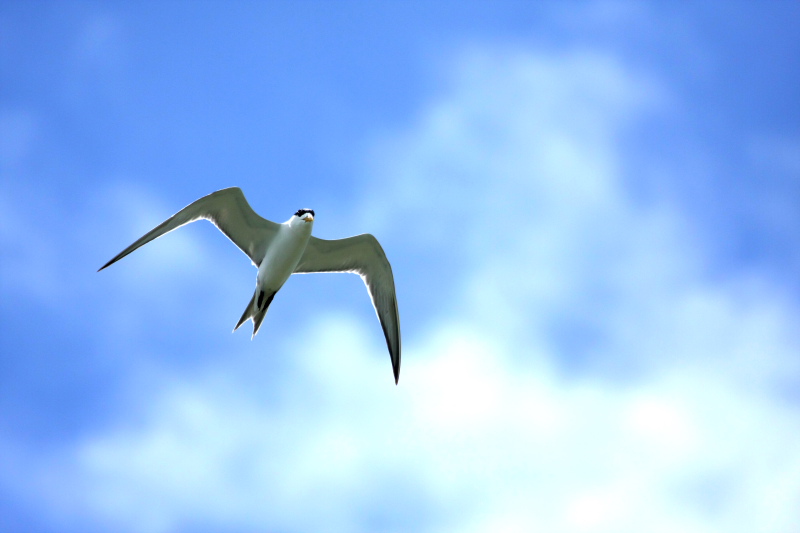 DPP_4450.JPG