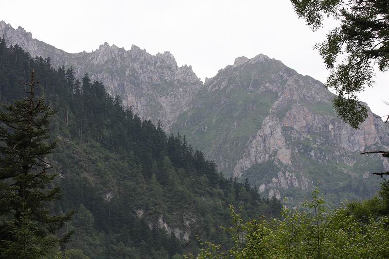 IMG_5819.jpg