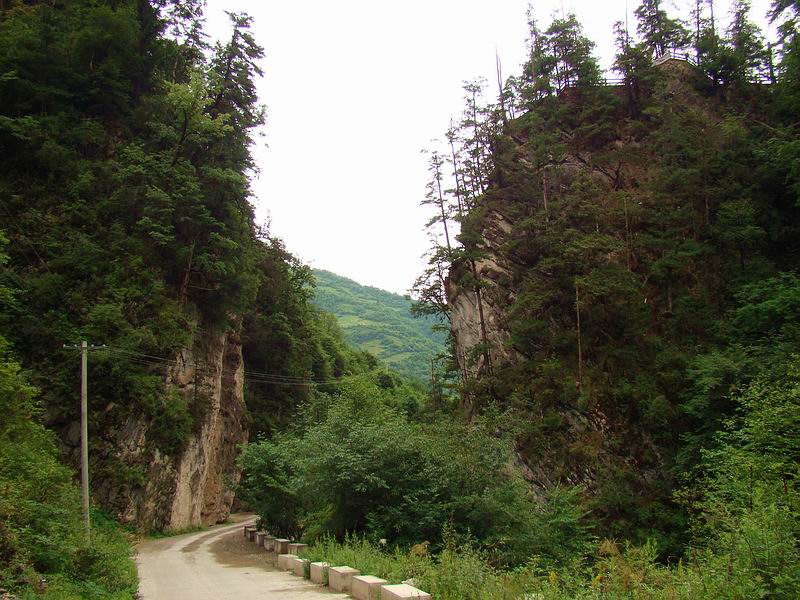 DSC04874.jpg