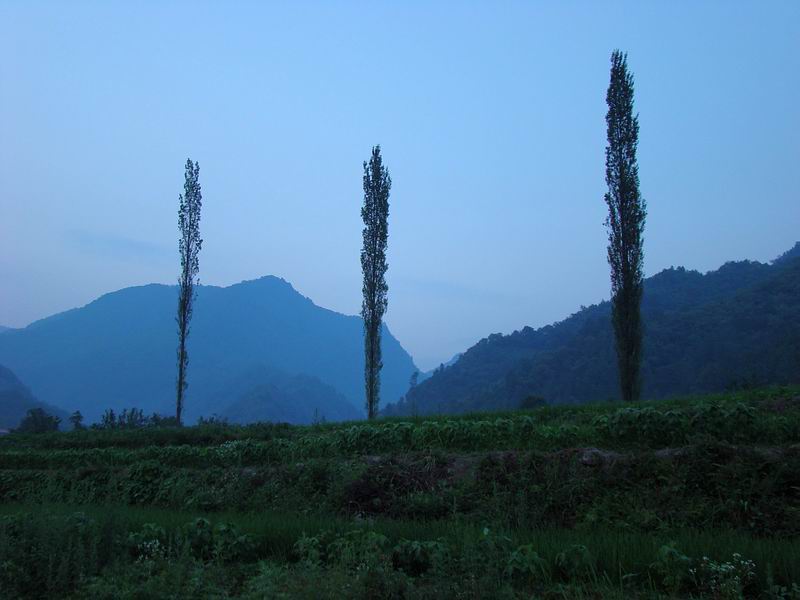 DSC04848.jpg