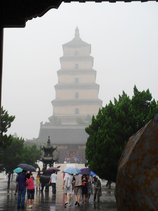 DSC05826.JPG