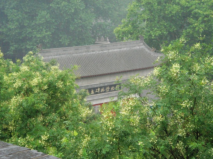 DSC05788.JPG
