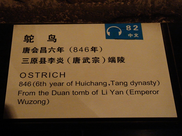 DSC05770.JPG