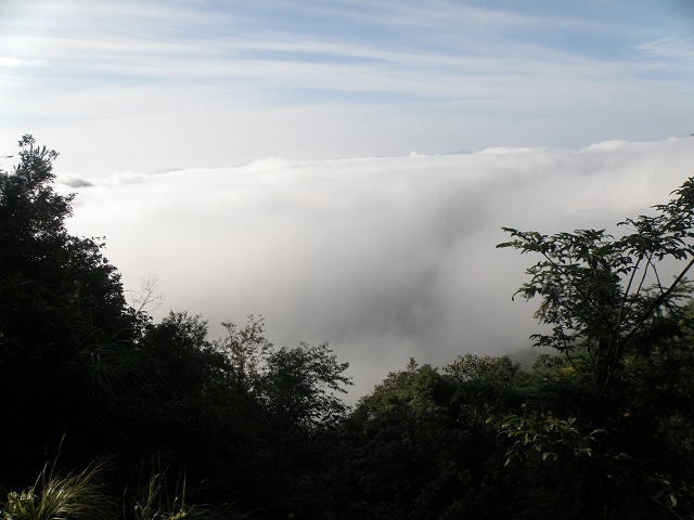 P8172407-1.jpg