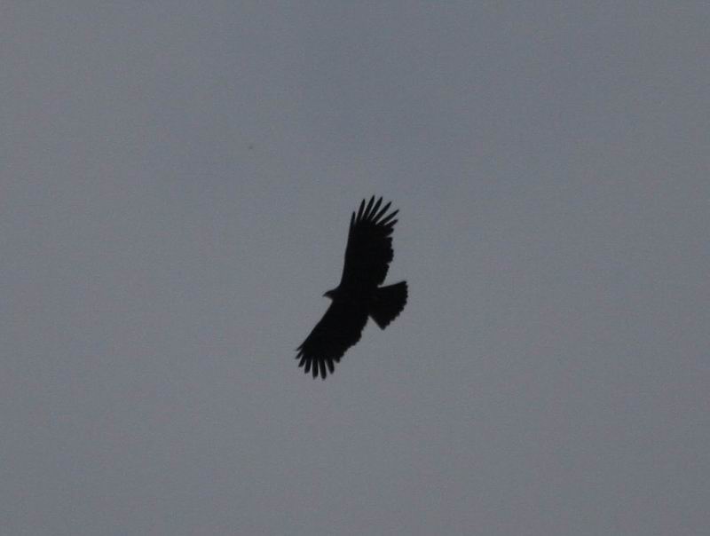IMG_7789.jpg