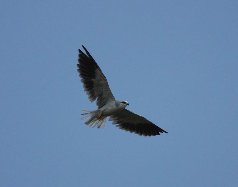 IMG_9163.jpg