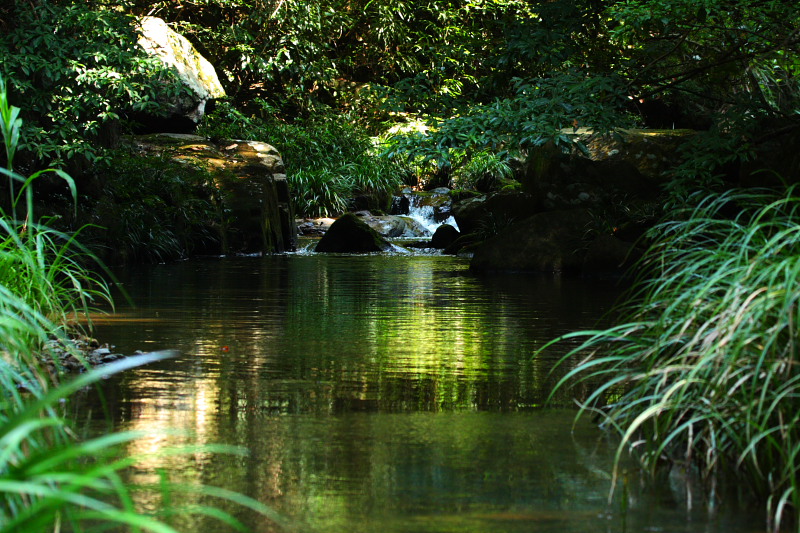 DPP_5288.JPG