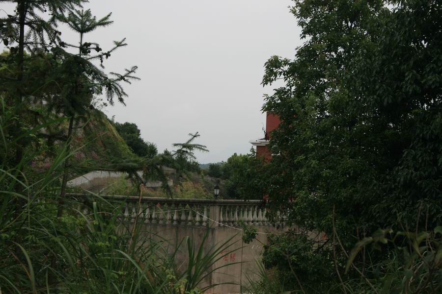 d041.jpg