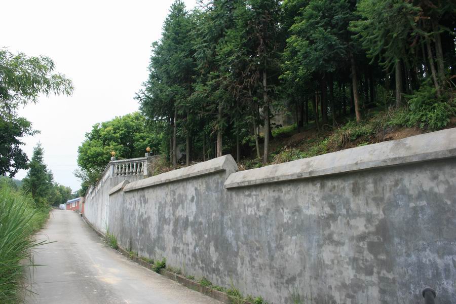 d038.jpg
