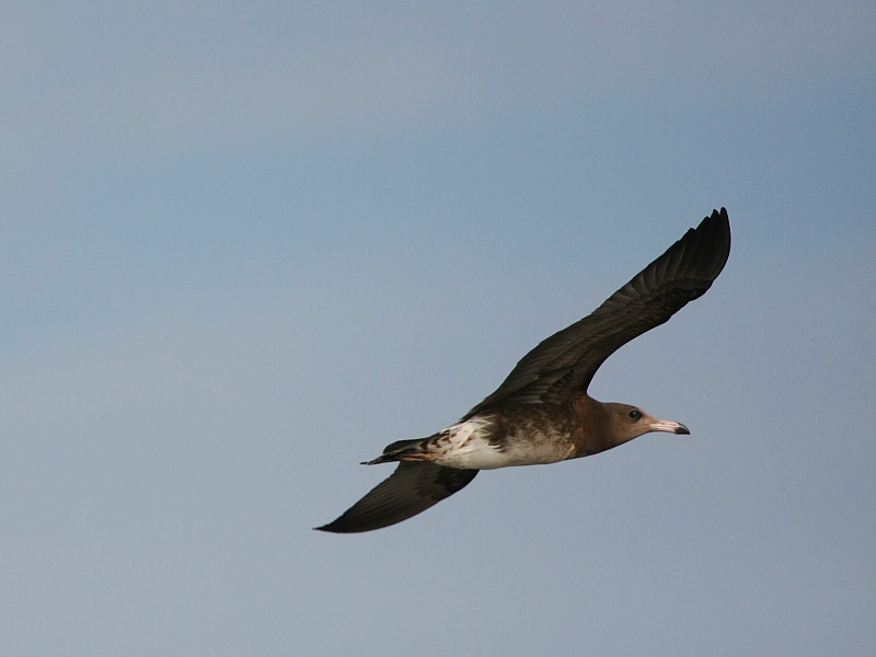 DPP_5465.JPG