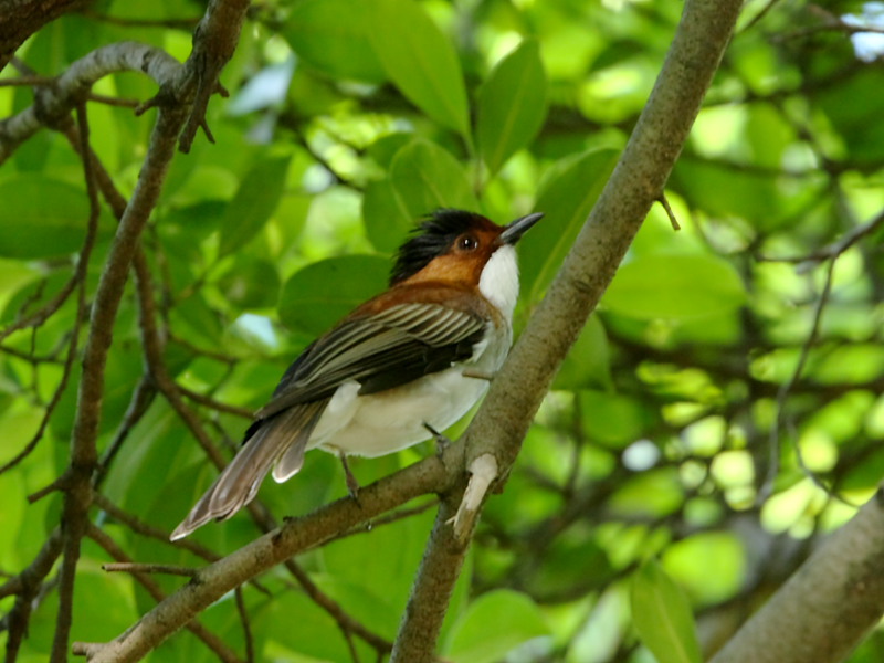 DPP_5516.JPG