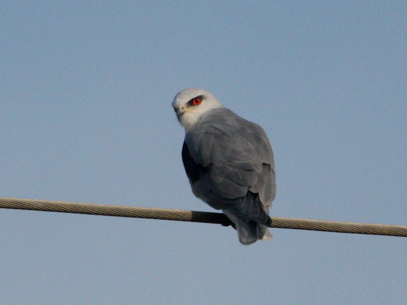 DPP_5688.JPG