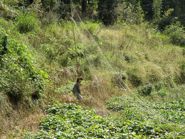 PA022791-1.jpg