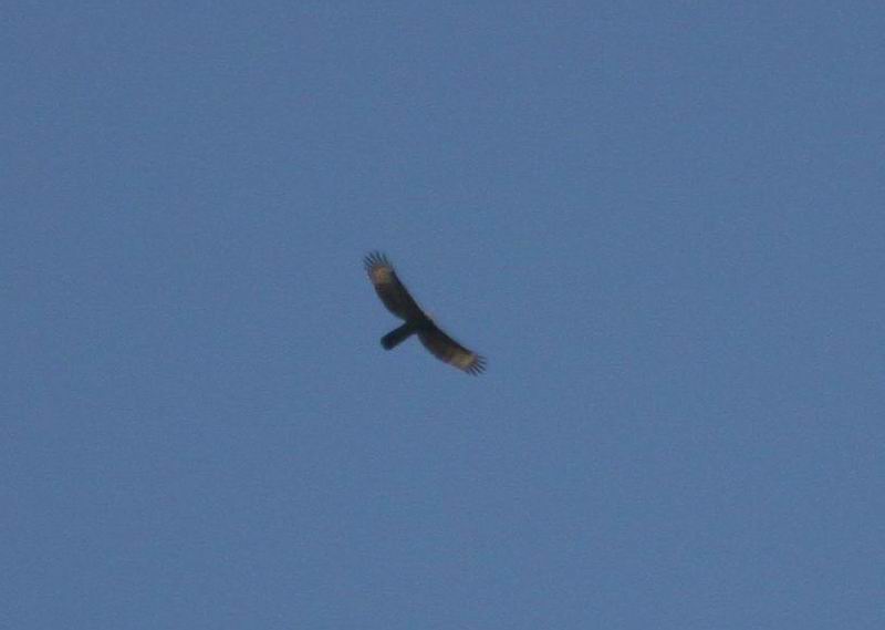 IMG_2277.jpg