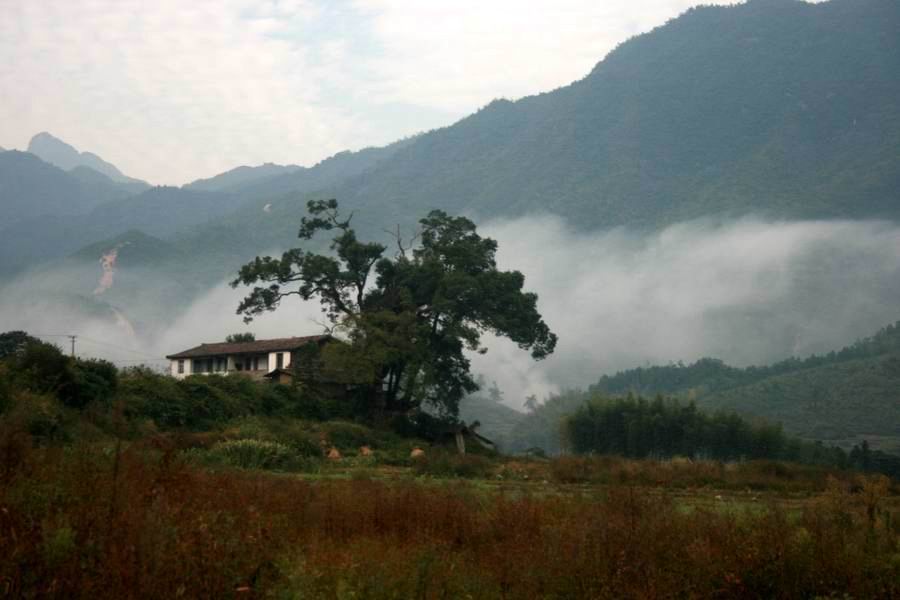 d2506.jpg