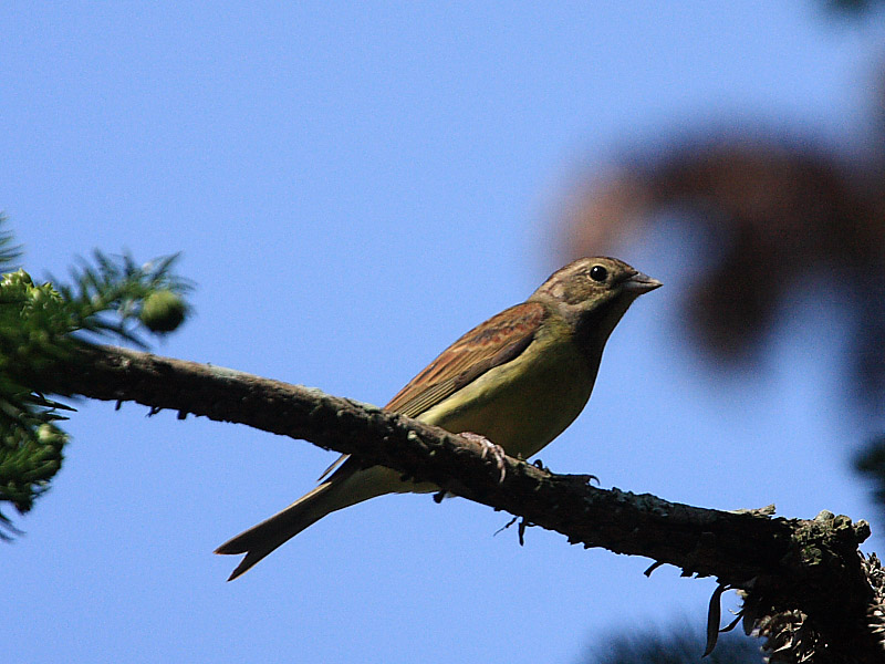 DPP_58381.jpg