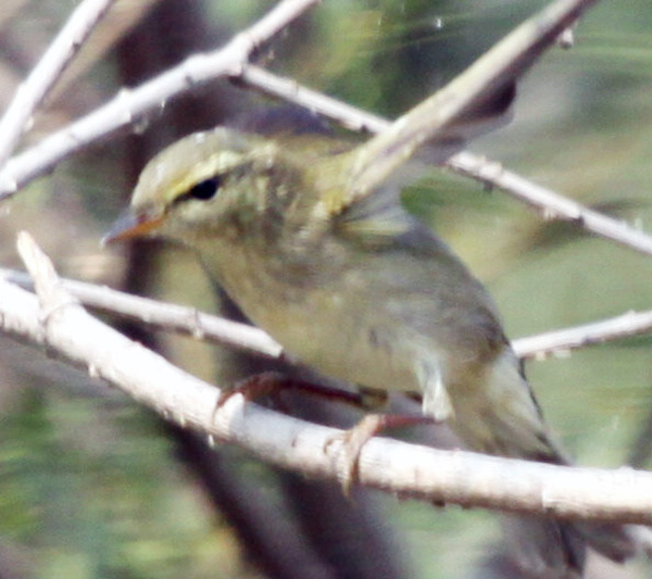 ʲôݺ2.jpg