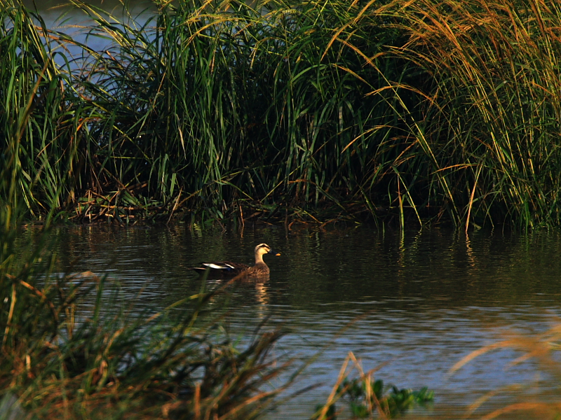 DPP_5828.JPG