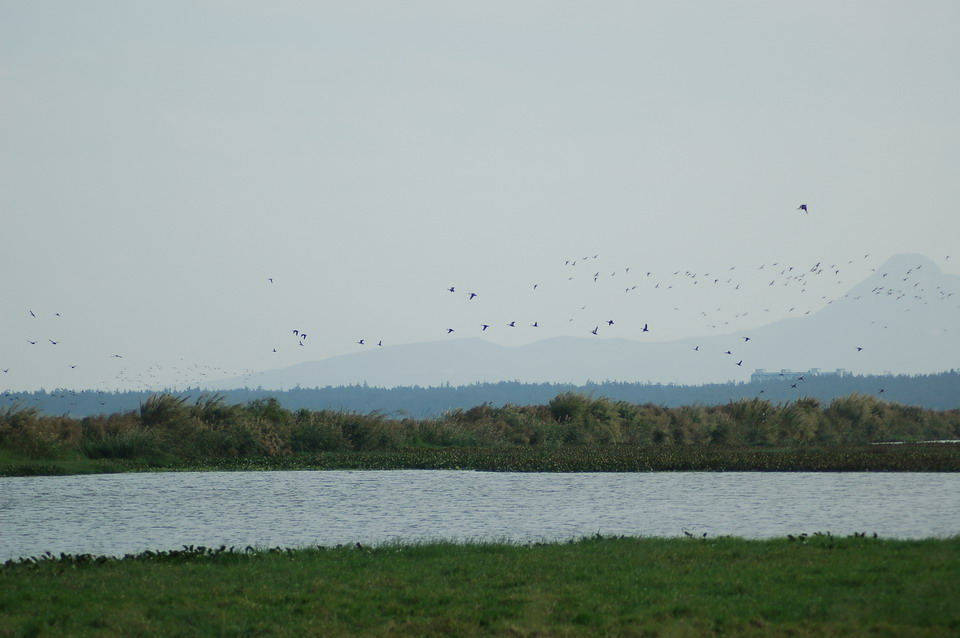 DSC_0091_СС.JPG
