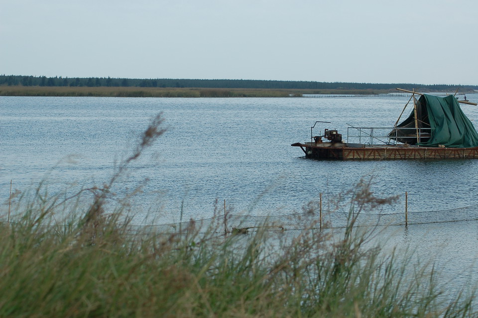 DSC_0101_СС.JPG